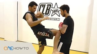 Muay Thai Basics For Beginners [upl. by Nylsoj]