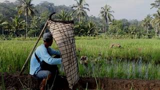 Feature alat musik tradisional Bundengan quotMusik dalam Tempurungquot dokumenter pendek [upl. by Dalis]