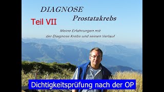 Dichtigkeitsprüfung nach radikaler Prostatektomie  Prostatakrebs Teil 7 [upl. by Eirffej373]