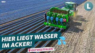 Technik gegen Dürre So rettet Landwirt seine Ernte  WDR Lokalzeit LandSchafft [upl. by Fitzpatrick]