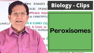 Peroxisomes  Introduction  Biology Clips [upl. by Akisej]