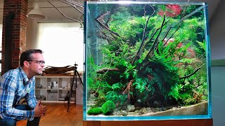 Nature Aquarium Aquascape Therapy Relaxing Cinematic Edition [upl. by Brunhild]