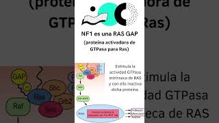 Neurofibromatosis 1 hospital ciencia curiosidadescientificas [upl. by Eras]