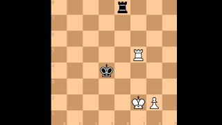 Anderssen vs Riviere  Paris 1860 chess [upl. by Bendite]