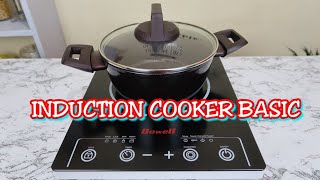 INDUCTION COOKER BASIC REVIEW [upl. by Ydisahc]