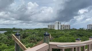 View from Jacobs Outlook bocaratonflorida gumbolimbonaturecenter florida southflorida [upl. by Anaihs]