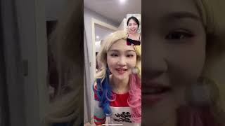 Harley Quinn Mistakenly Enters Video Chatting joker Harley Quinn joker [upl. by Lesly]