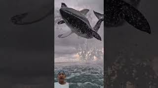 The HIGHEST JUMP Shark Attack GREAT WHITE shark ocean sharkworld fishing [upl. by Sindee434]