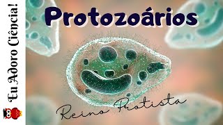 Reino Protista Aula 1  Protozoários [upl. by Otreblanauj754]