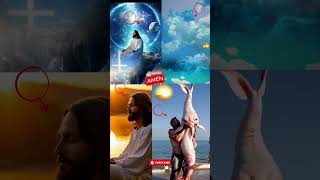 God’s Promise You Will Prosper god godslove godisgood jesuschrist tiktok shortsvideo [upl. by Aehtla]