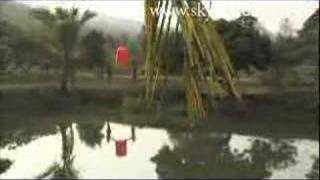 Orange Flying Chinese Lantern released in Thai countryside [upl. by Airdnaxila]