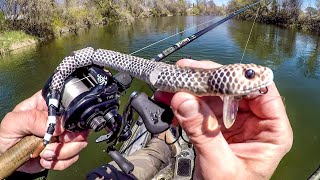 Fishing A Snake Lure For River MONSTERS [upl. by Holub757]