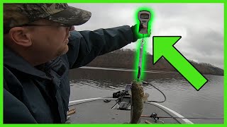 Rapala 15lb Scale  Setup [upl. by Enra]