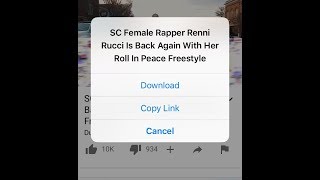 Video downloader for iPhone [upl. by Roma216]