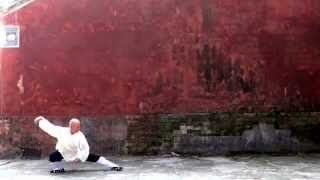 Wudang Sanfeng 13 Taiji quan Zixiaogong [upl. by Aitital]