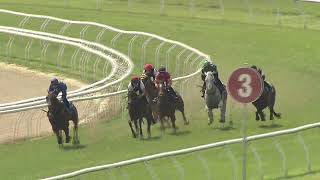 Heat 13 Doomben Jumpouts 0810 [upl. by Anegal]