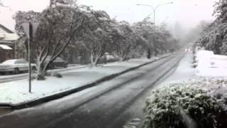 Snowing in Leura [upl. by Shena]