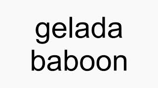 How to pronounce gelada baboon [upl. by Boorman]