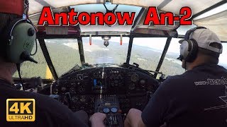 Flugplatzfest Oerlinghausen  Rundflug mit einer Antonow An2 Baujahr 1958 [upl. by Grimaldi899]