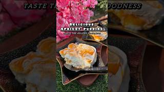 Brand New Dessert RecipeDelicious Apricot PuddingKhubani Ka MeethaApricot Delightshortsfood [upl. by Frannie]