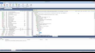 Video 4 – Adding Custom Business Edits [upl. by Coucher238]