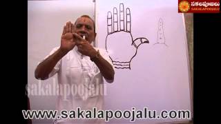 PALMISTRY PART  4 IN HINDI [upl. by Merci164]