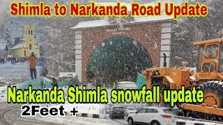 Shimla To Narkanda Road Updates  Narkanda Shimla snowfall update [upl. by Eelydnarb]