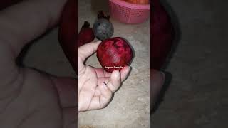 Homemade Beetroot powder shortsfeed shorts remedy diy beetroot beetrootpowder [upl. by Tezzil]