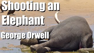 Shooting An Elephant AUDIOBOOK  George Orwell [upl. by Jerrie889]