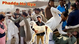 Bakra Lany Gy ll Bakra Mandi Mian Phadda Ho Gya [upl. by Junina]