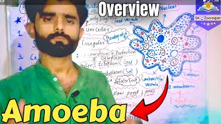 Amoeba  Biology  Class  9th  Ch  01 Urdu  Hindhi [upl. by Wind]