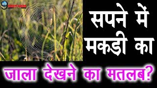 जानें सपने में मकड़ी का जाला देखना शुभ होता है अशुभ  Spider Web Dream Meaning [upl. by Nawrocki]