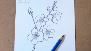 How to Draw Cherry Blossom Step by Step  Pencil drawing [upl. by Eillas]