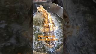 Delicious Fried Gopher RockFish caught near San Francisco Bay rockfishing cookingfish [upl. by Billye84]