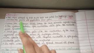 Bsc 3rd Year Biotechnology Notes DNA Replication [upl. by Hcab]