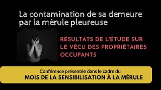 Comment une contamination à la mérule pleureuse affecte les propriétaires [upl. by Miki]