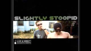 Slightly Stoopid  Runnin With A Gun [upl. by Llewxam]