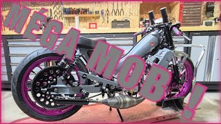 vlog MÉGA mob motobecane AV88 sauce 100 fast FLR  Difficile la mamie  😂 [upl. by Eceinhoj]