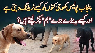 Punjab Police Sniffer Dogs Ko Kaise Training Deti Ha Aur Kaise Ye Bare Bare Bomb Pakar Lete Hai [upl. by Otrebogad]