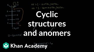 Carbohydrates  Cyclic structures and anomers  Chemical processes  MCAT  Khan Academy [upl. by Ysak]