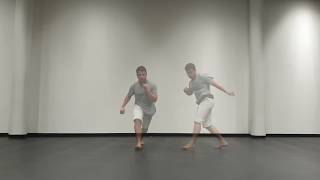 Capoeira Combo  Beginner 1  Flow and Dodge [upl. by Marmaduke83]