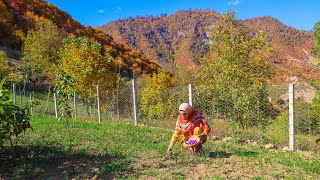 Beautiful Iranian Mountain Village  Traditional Life of Iran  Peaceful And Relaxing Village Life [upl. by Limbert912]