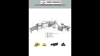 GM01 Olive pitting machine line [upl. by Odrude570]