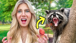 We Got Attacked By A Raccoon [upl. by Noemi]