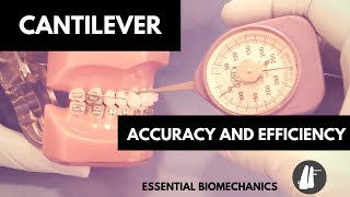 Cantilever  Essential Biomechanics [upl. by Edyak]