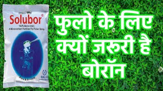 फुलो के लिए क्यों जरूरी है बोराॅनBoron fertilizer [upl. by Mizuki]