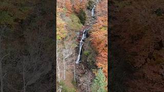 Canyoning Trip canyoning canyon adventure extremesports dji canyoneering outdoors [upl. by Angelique]