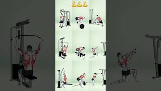 Best BACK EXERCISE viralshorts video 💪💪💪💪 [upl. by Hars648]