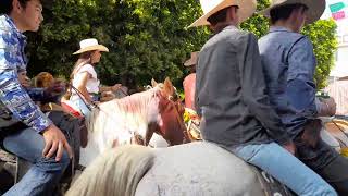 La mejor Fiesta de México el combate de Flores de Arandas Jalisco [upl. by Effie]