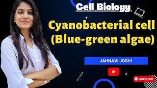 Cyanobacterial cell  Blue Green algae Notes Cell Biology [upl. by Tsyhtema]